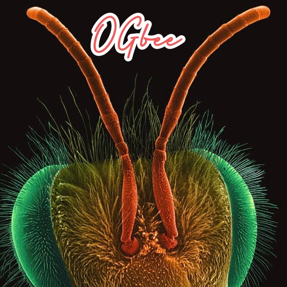 ogbee23